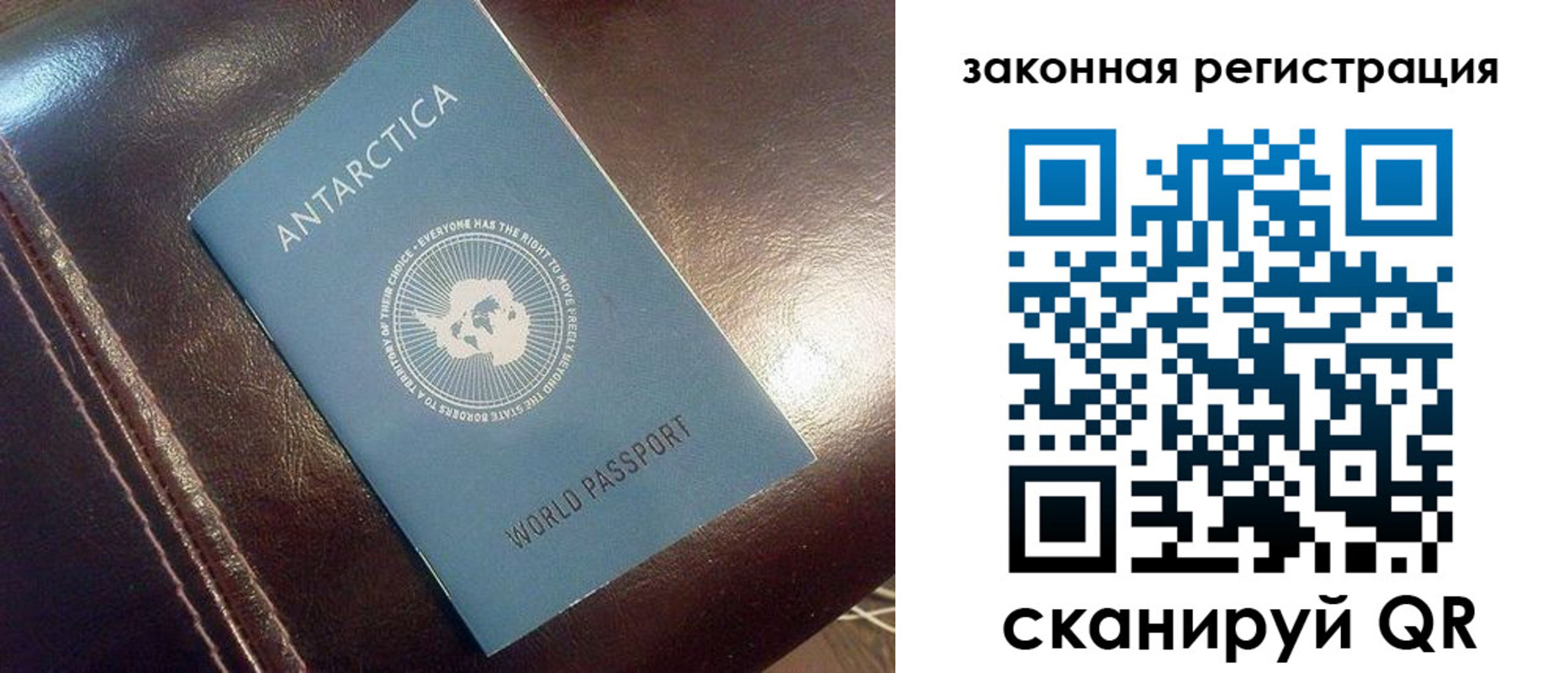 временная регистрация поиск в Московской области